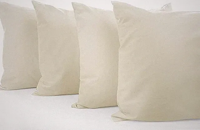 Queen Pillow Cases Set of 4 Ivory 100% Organic Cotton 600 Thread Count Premiu...
